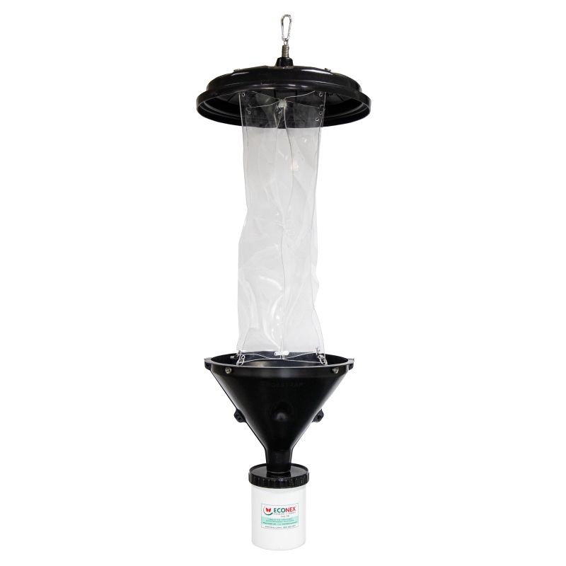 CROSSTRAP CON COLECTOR SECO